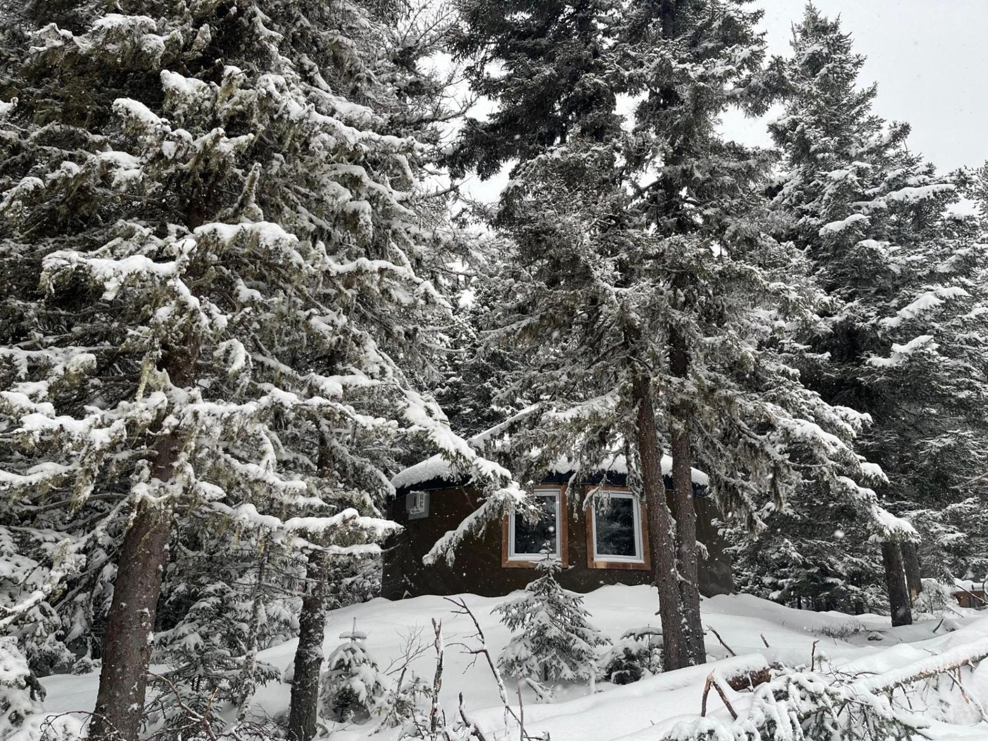 Yourte Experience Charlevoix La Malbaie Dış mekan fotoğraf